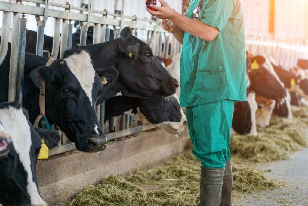 sicurezza sul lavoro nel settore veterinario: veterinario al lavoro